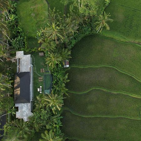 Hatiku Di Bali - Ubud Tegallalang  Extérieur photo