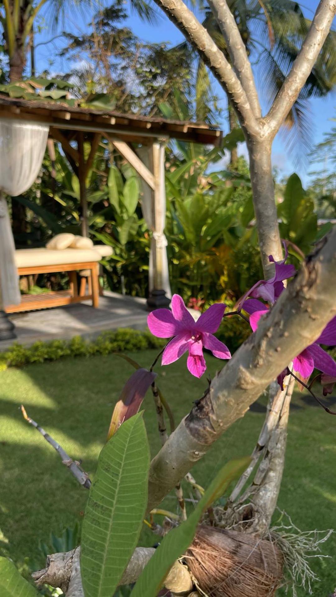 Hatiku Di Bali - Ubud Tegallalang  Extérieur photo
