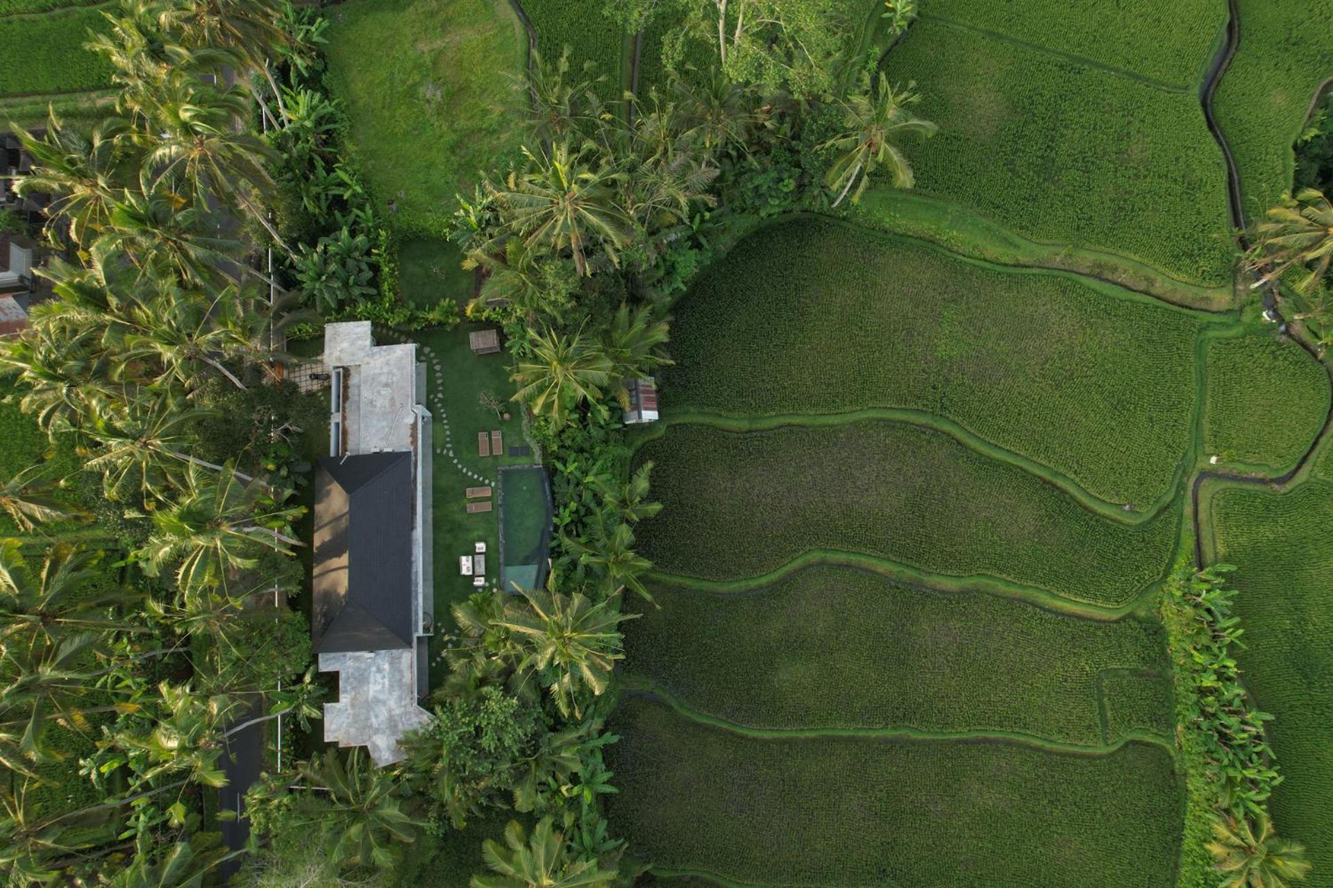 Hatiku Di Bali - Ubud Tegallalang  Extérieur photo